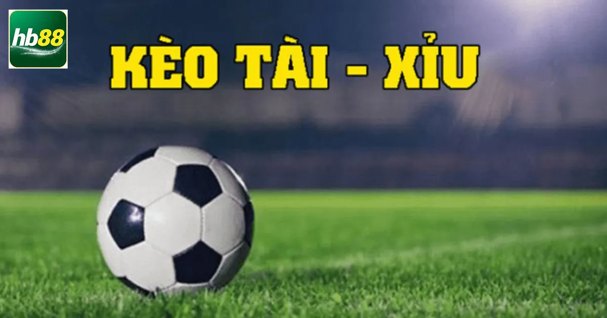 Cách Đọc Tài Xỉu 3.5 Và Một Số Lưu Ý Cho Người Mới 3 Hướng dẫn cách đọc tài xỉu 3.5 chi tiết