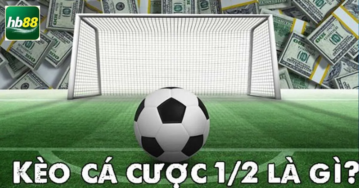 Khám Phá Kèo Chấp Nửa Một Và Giải Đáp Những Câu Hỏi 3 Tìm hiểu cách thức tính điểm