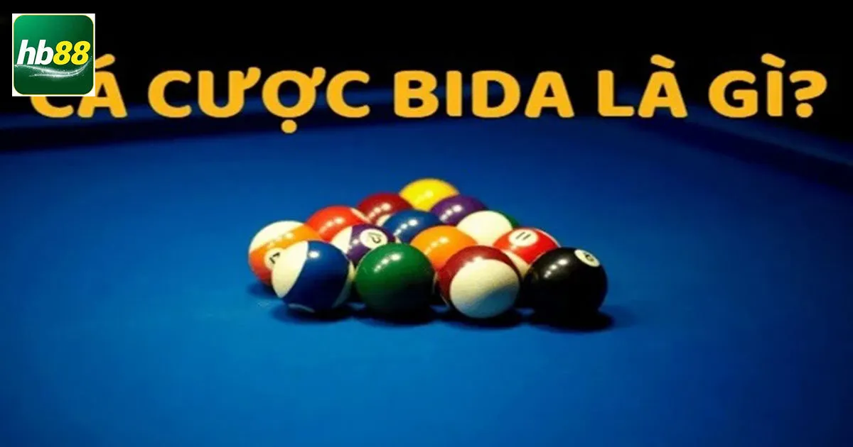 Cá Cược Bida - Tổng Hợp Các Loại Kèo Cá Độ Phổ Biến Nhất 2 Khái niệm cá cược bida