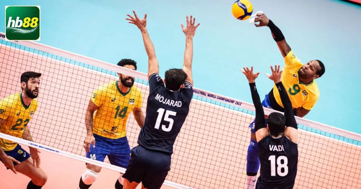 Hướng Dẫn Cách Cá Cược Bóng Chuyền Và Mẹo Hay Từ Cao Thủ 4 Cách cá cược bóng chuyền với kèo tài xỉu