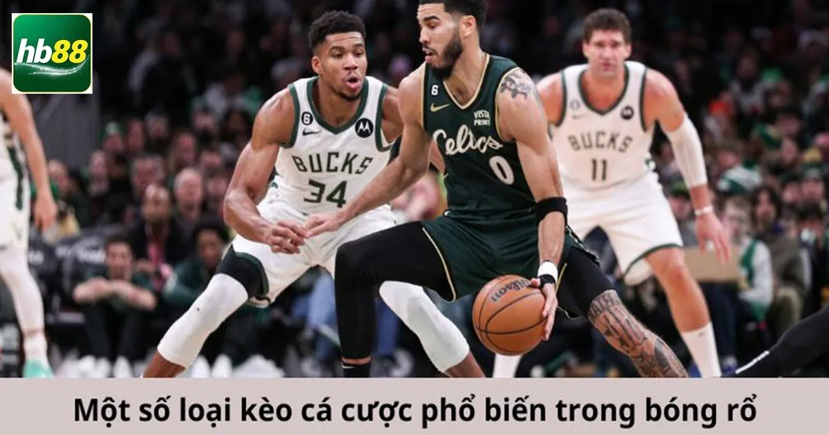 Gợi Ý Địa Chỉ Tham Gia Cá Cược Bóng Rổ Uy Tín - Hb88 4 Gợi ý địa chỉ uy tín để tham gia cá cược bóng rổ