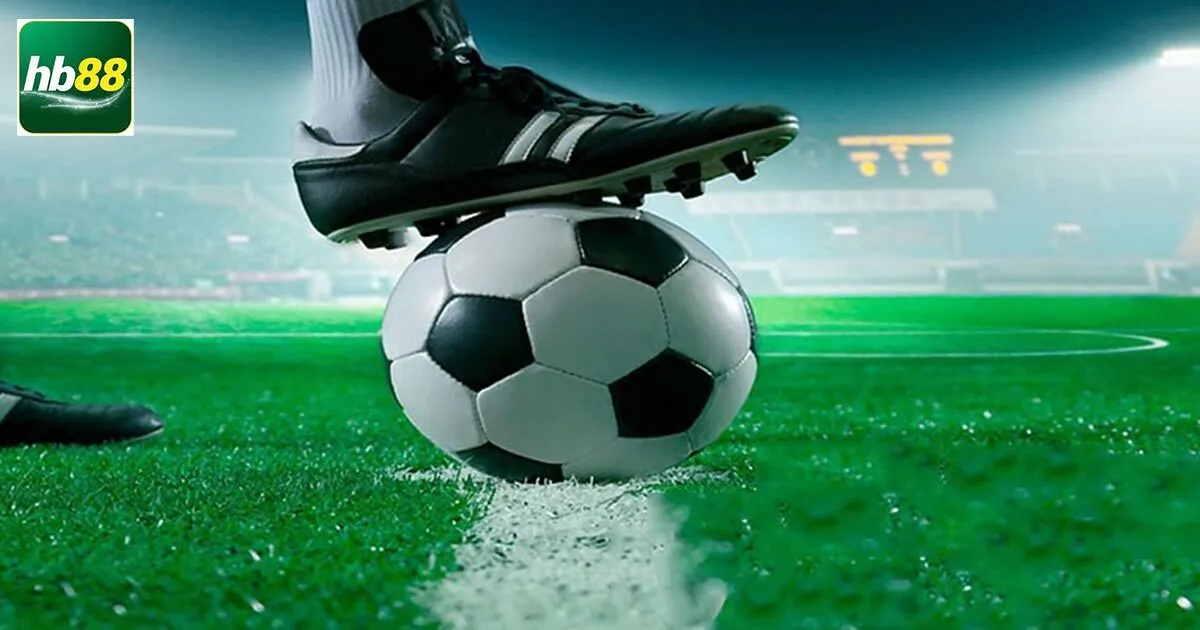 tim hieu ve cuoc doi dau